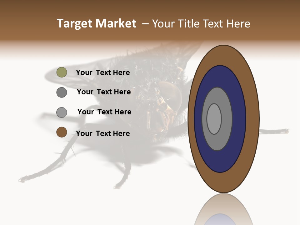 Fly Background Detailed PowerPoint Template