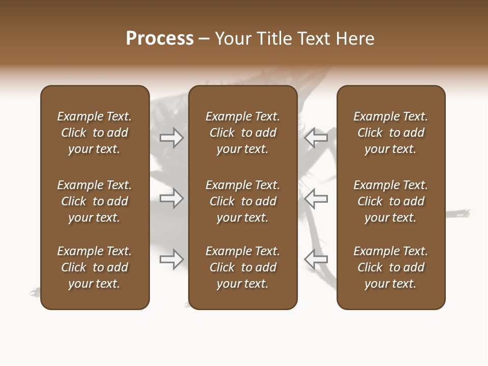 Fly Background Detailed PowerPoint Template