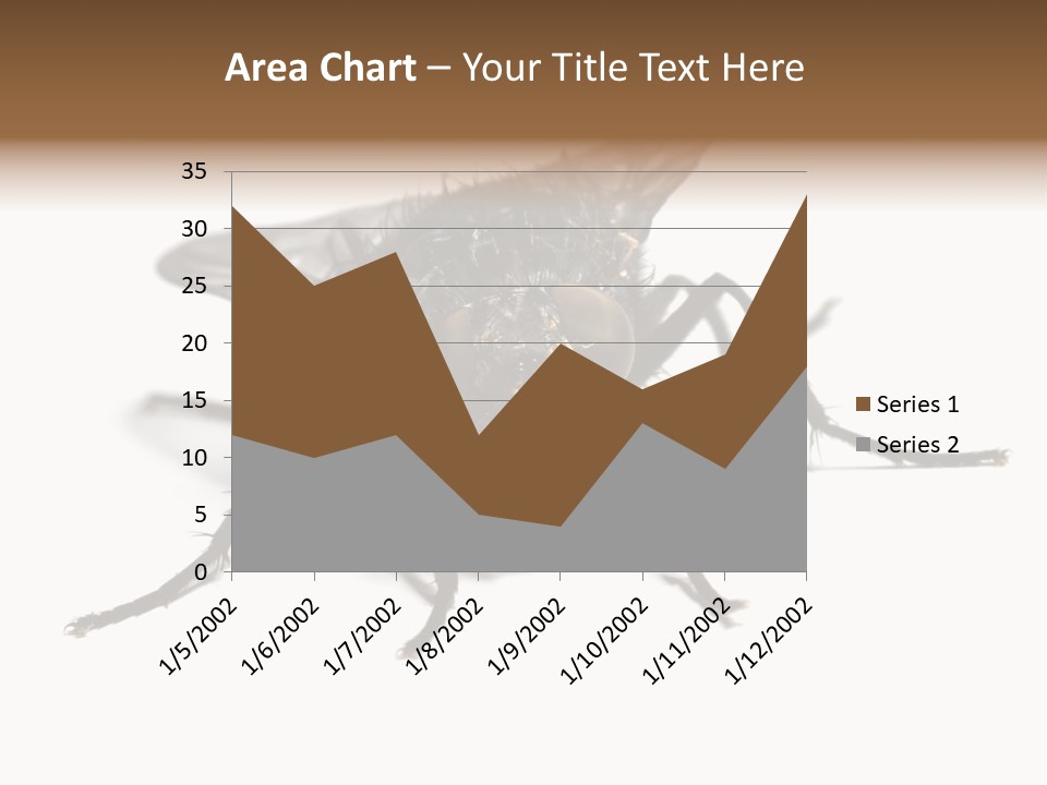 Fly Background Detailed PowerPoint Template