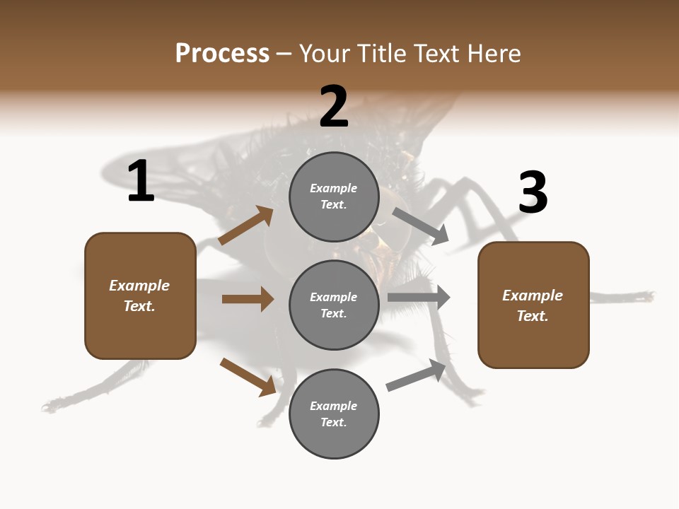 Fly Background Detailed PowerPoint Template