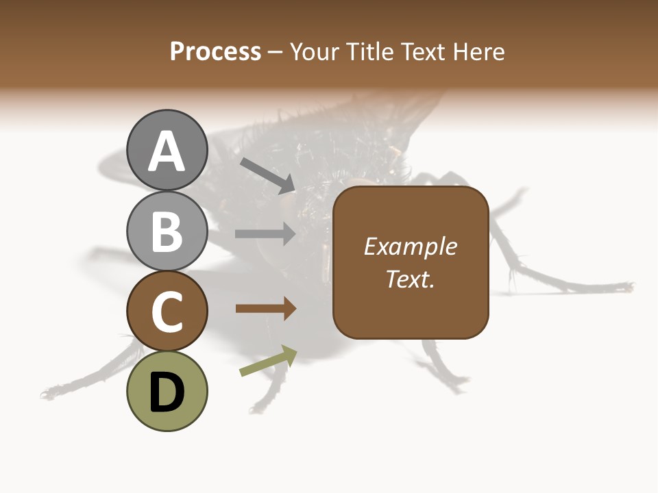 Fly Background Detailed PowerPoint Template