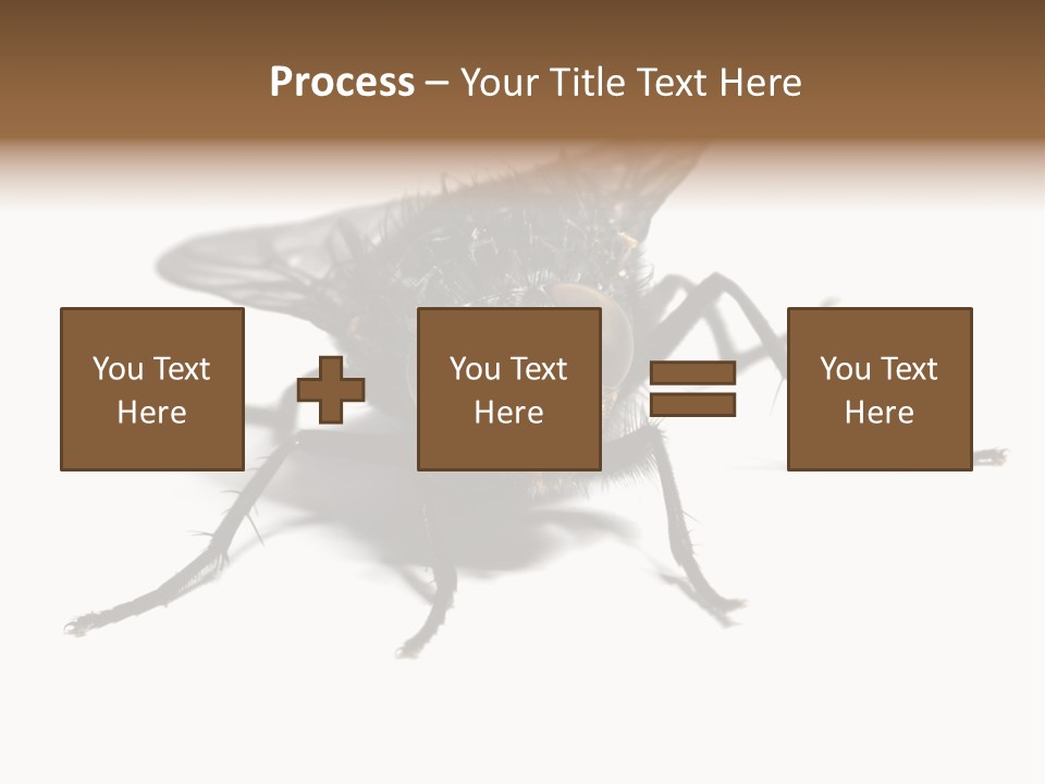 Fly Background Detailed PowerPoint Template