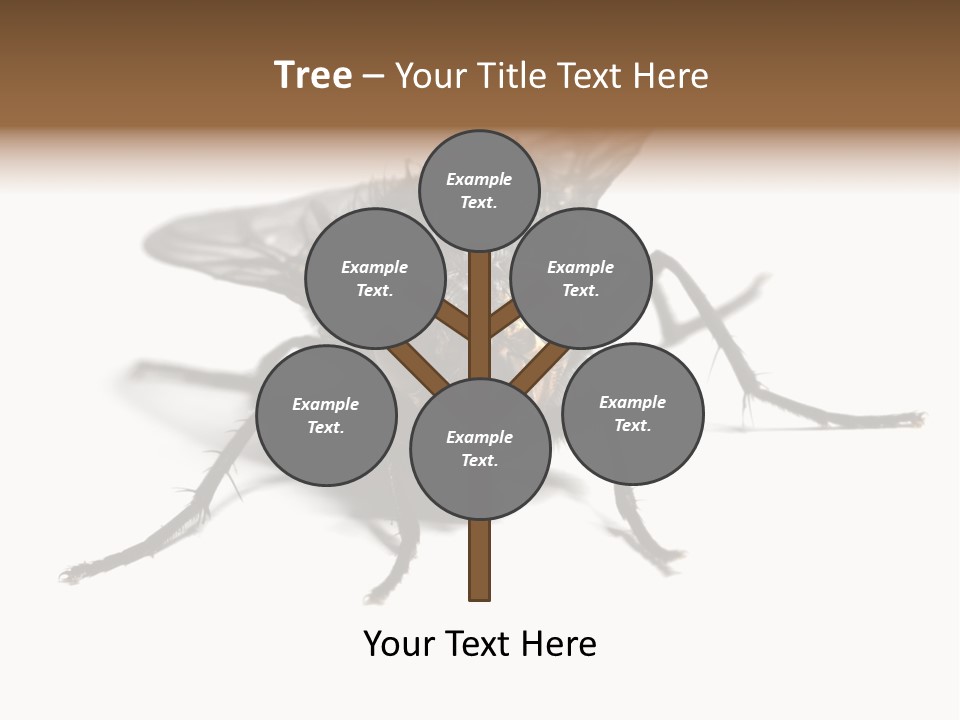 Fly Background Detailed PowerPoint Template