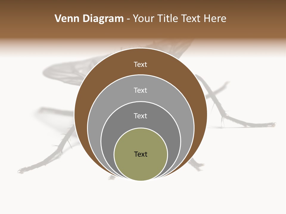 Fly Background Detailed PowerPoint Template