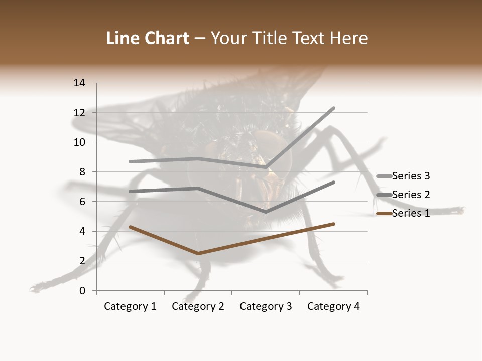 Fly Background Detailed PowerPoint Template