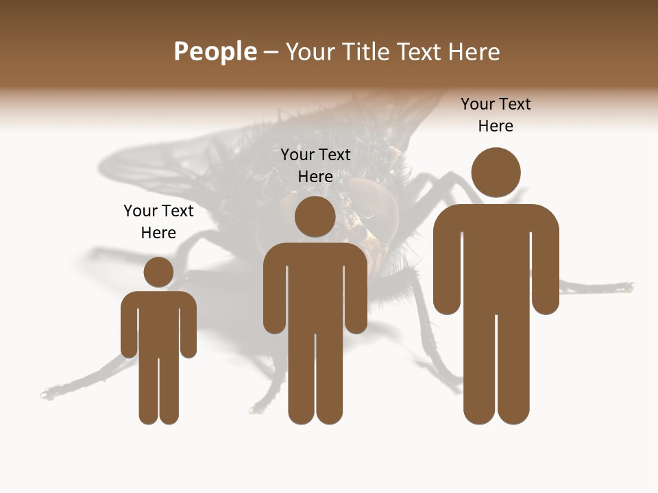 Fly Background Detailed PowerPoint Template