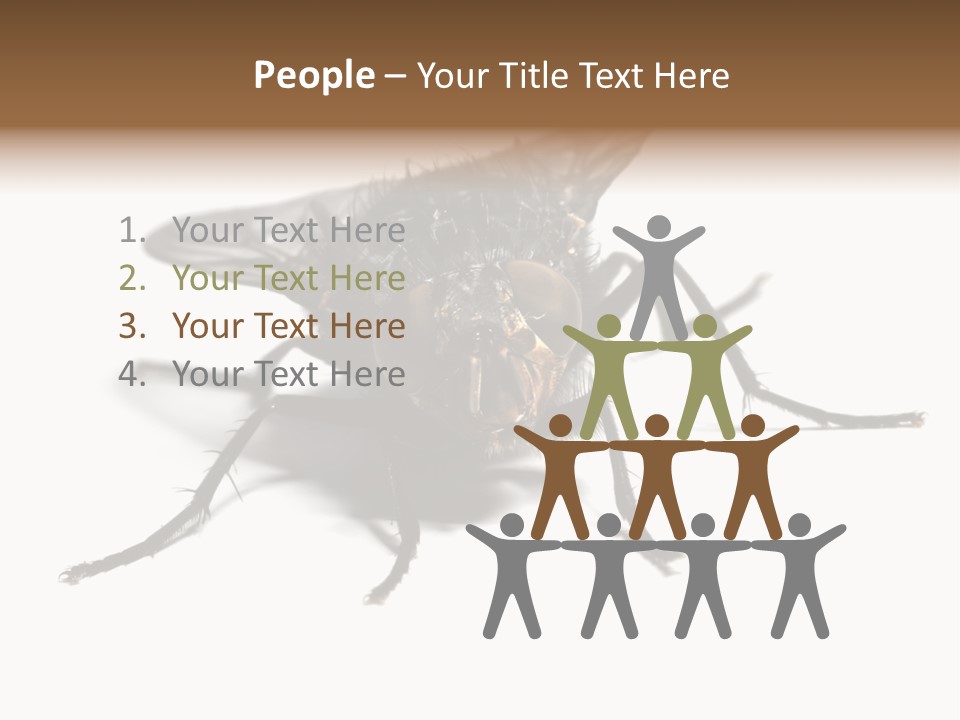 Fly Background Detailed PowerPoint Template