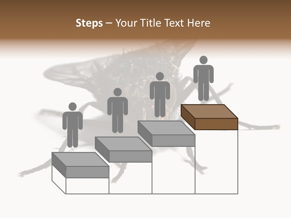 Fly Background Detailed PowerPoint Template