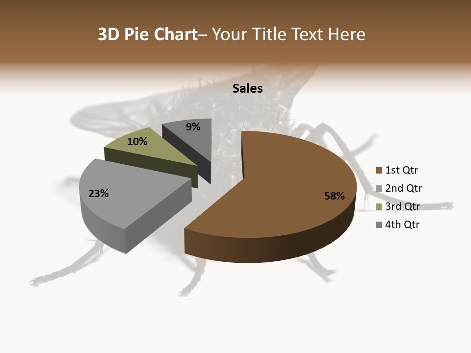 Fly Background Detailed PowerPoint Template