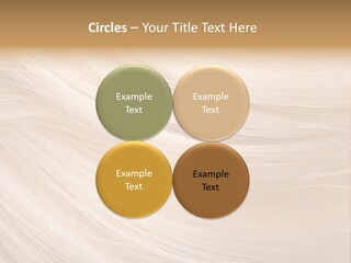 Closeup Style Background PowerPoint Template