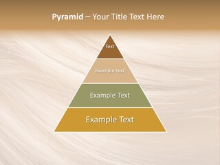 Closeup Style Background PowerPoint Template