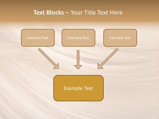 Closeup Style Background PowerPoint Template