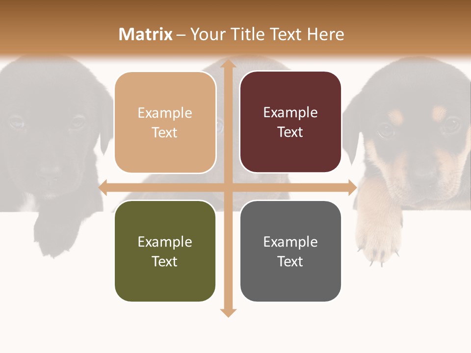 Horizontal Lighting Together PowerPoint Template