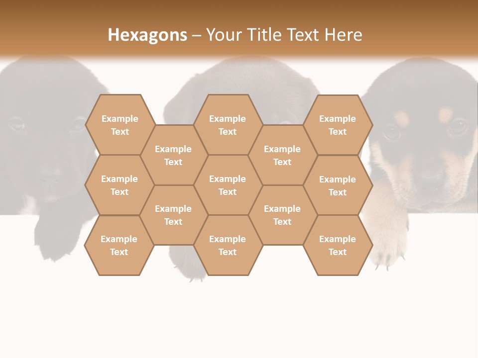 Horizontal Lighting Together PowerPoint Template