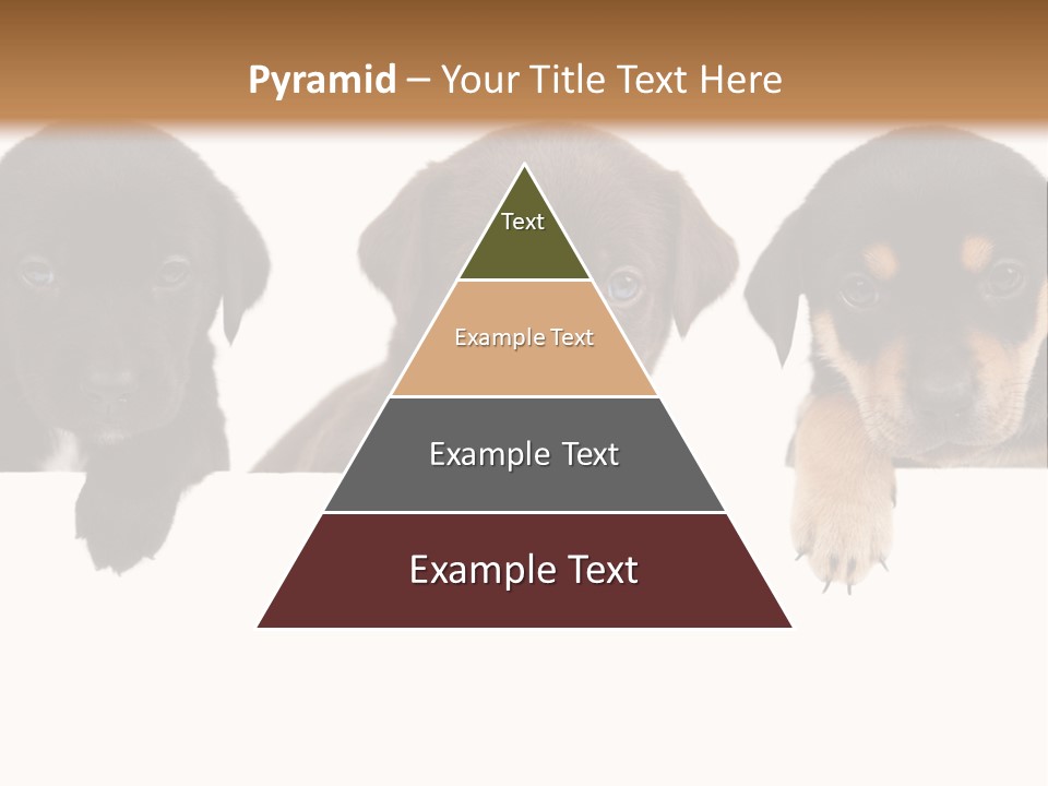 Horizontal Lighting Together PowerPoint Template