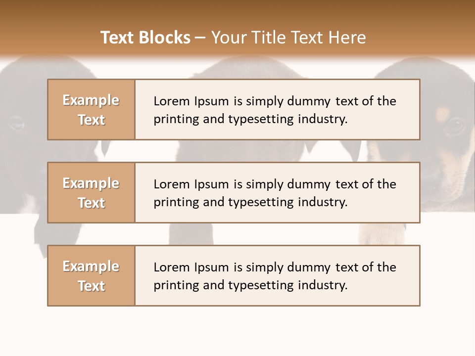 Horizontal Lighting Together PowerPoint Template