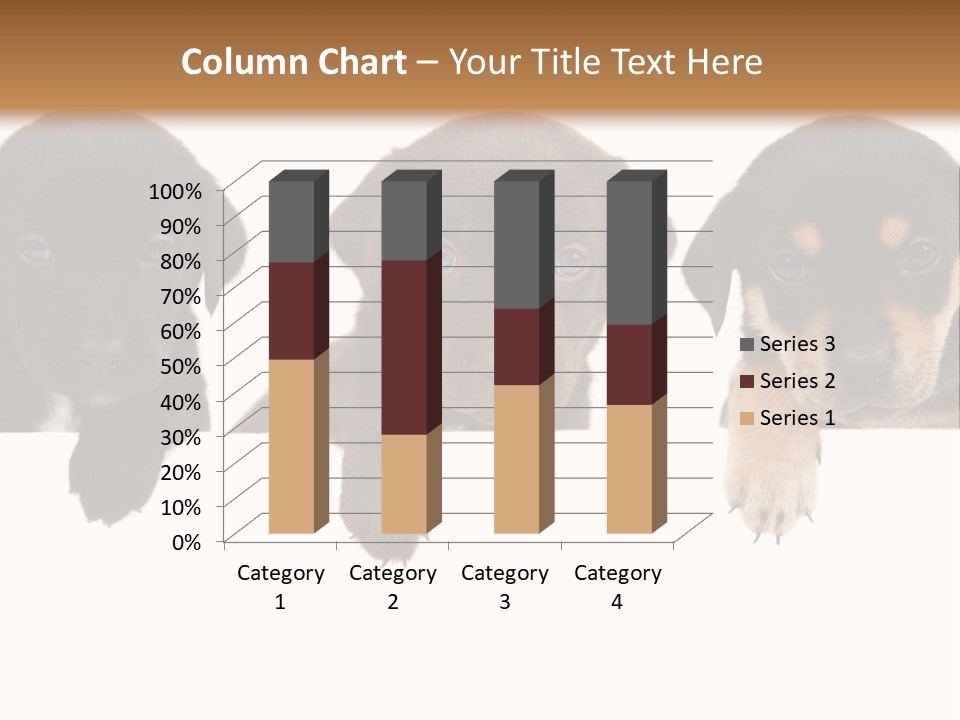 Horizontal Lighting Together PowerPoint Template