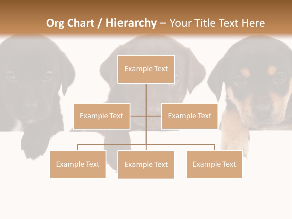 Horizontal Lighting Together PowerPoint Template