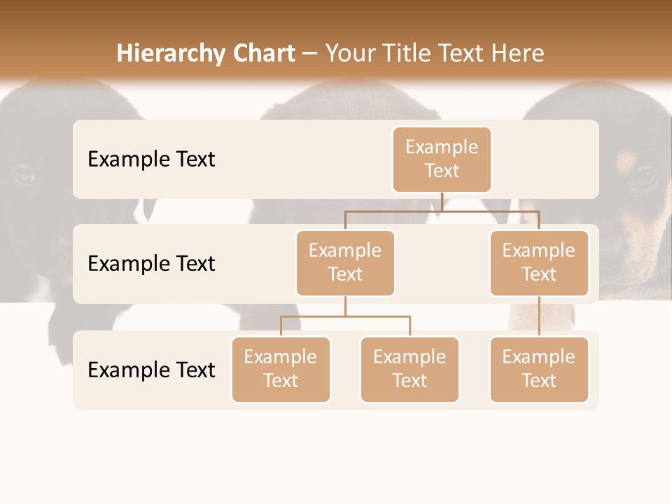 Horizontal Lighting Together PowerPoint Template