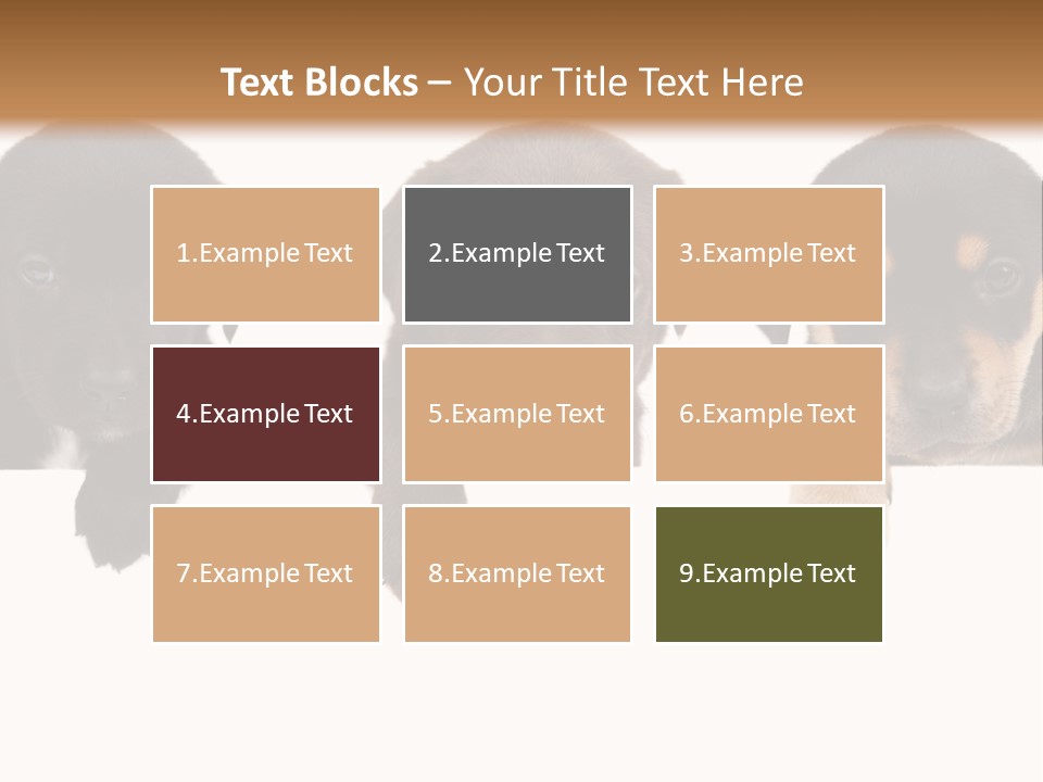 Horizontal Lighting Together PowerPoint Template