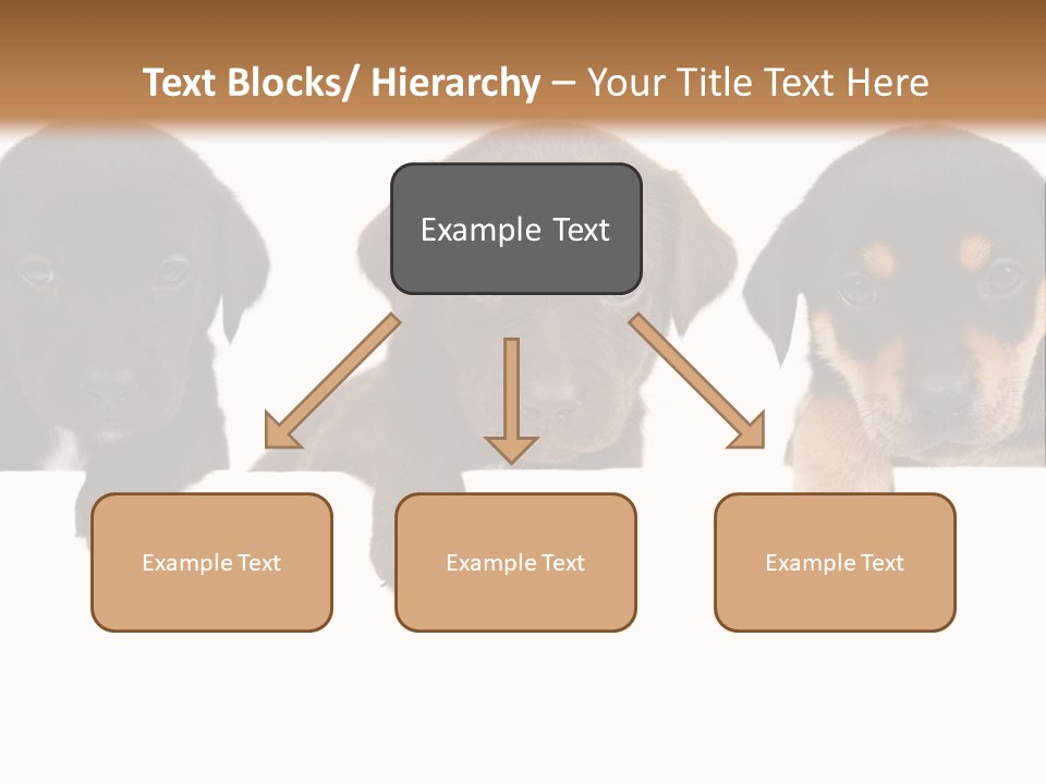 Horizontal Lighting Together PowerPoint Template