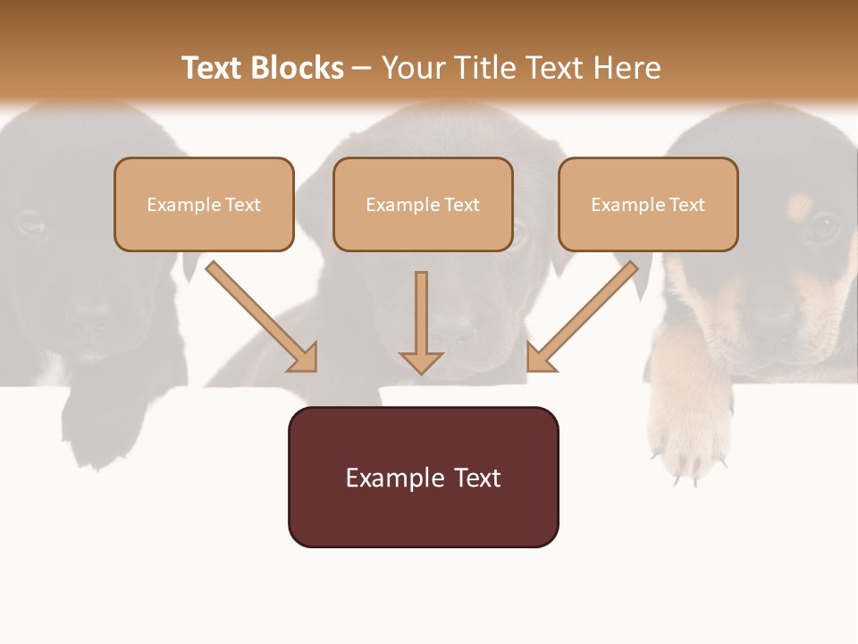 Horizontal Lighting Together PowerPoint Template