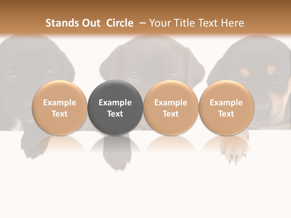 Horizontal Lighting Together PowerPoint Template