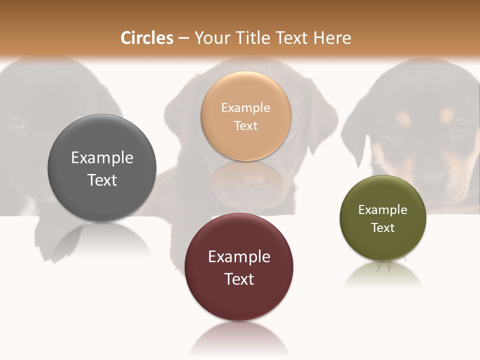 Horizontal Lighting Together PowerPoint Template