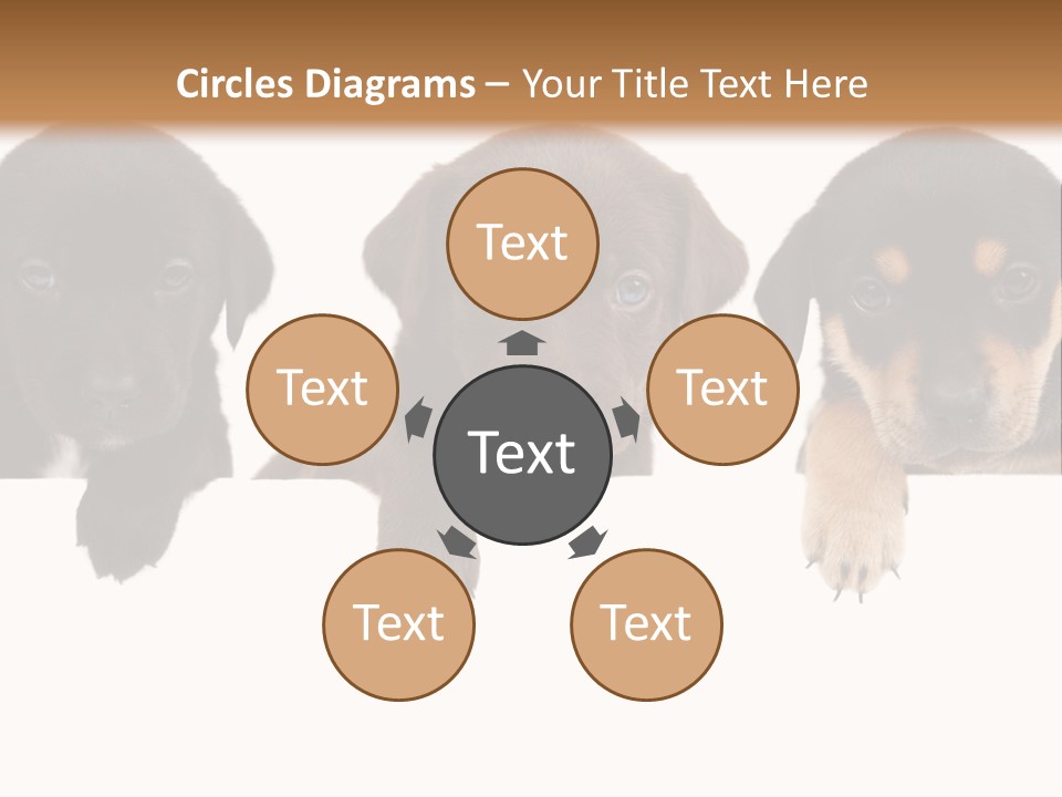 Horizontal Lighting Together PowerPoint Template