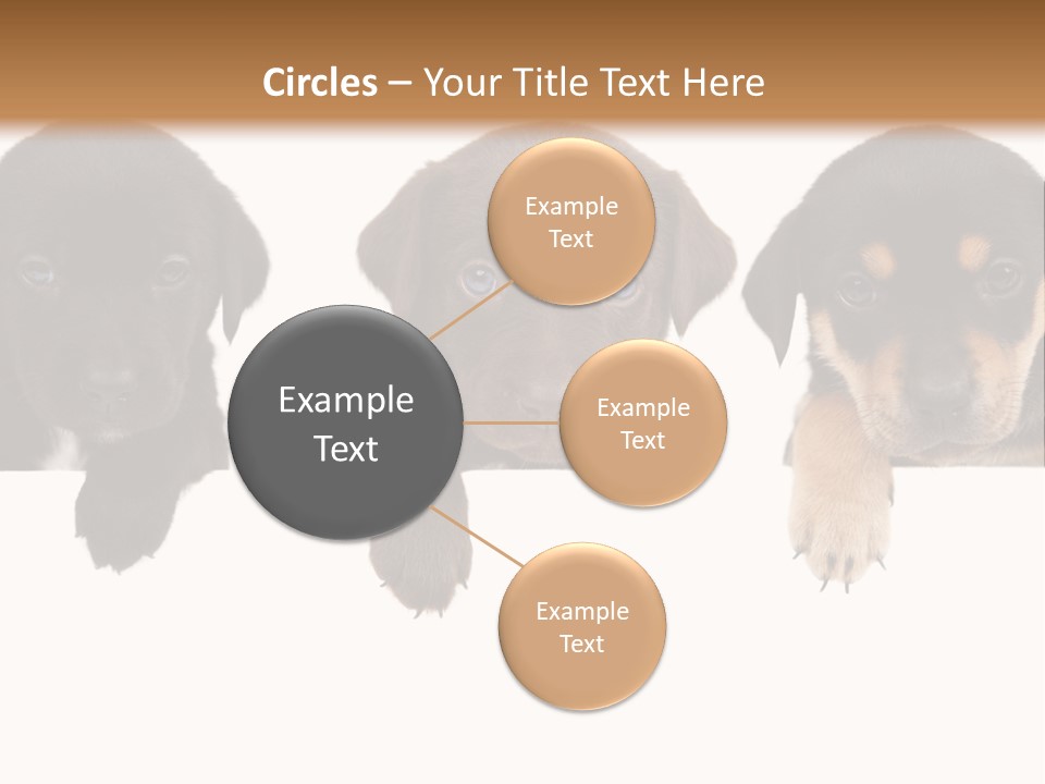 Horizontal Lighting Together PowerPoint Template