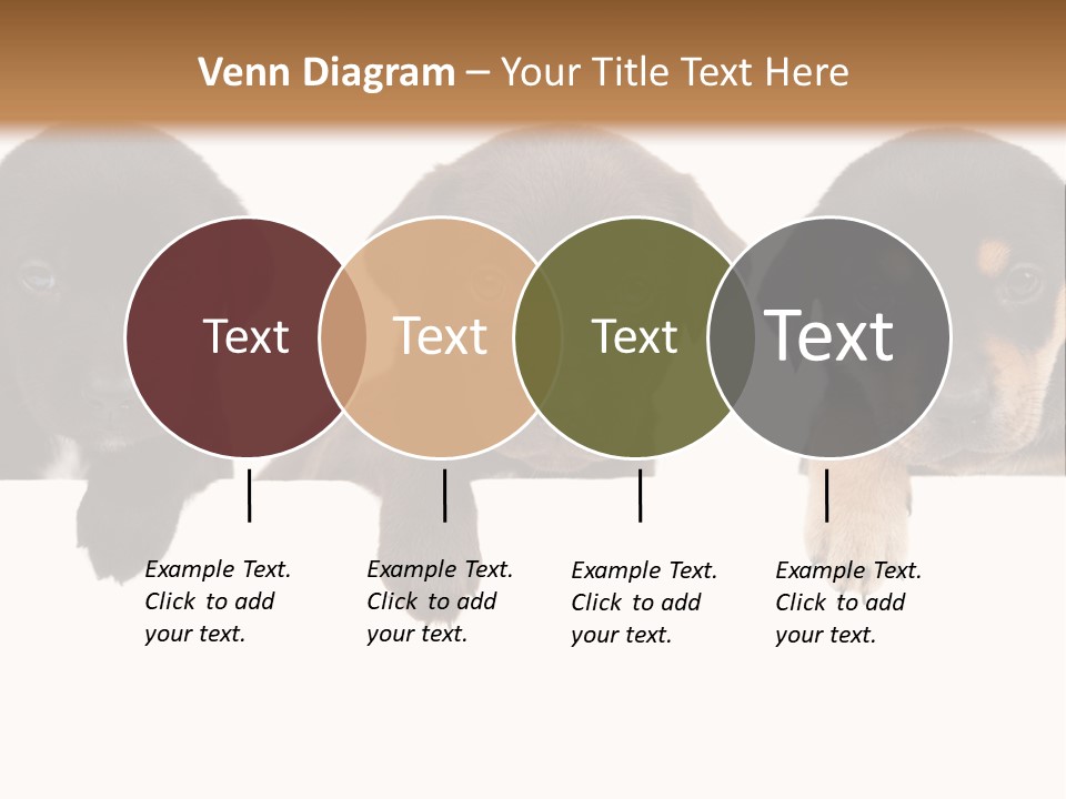 Horizontal Lighting Together PowerPoint Template