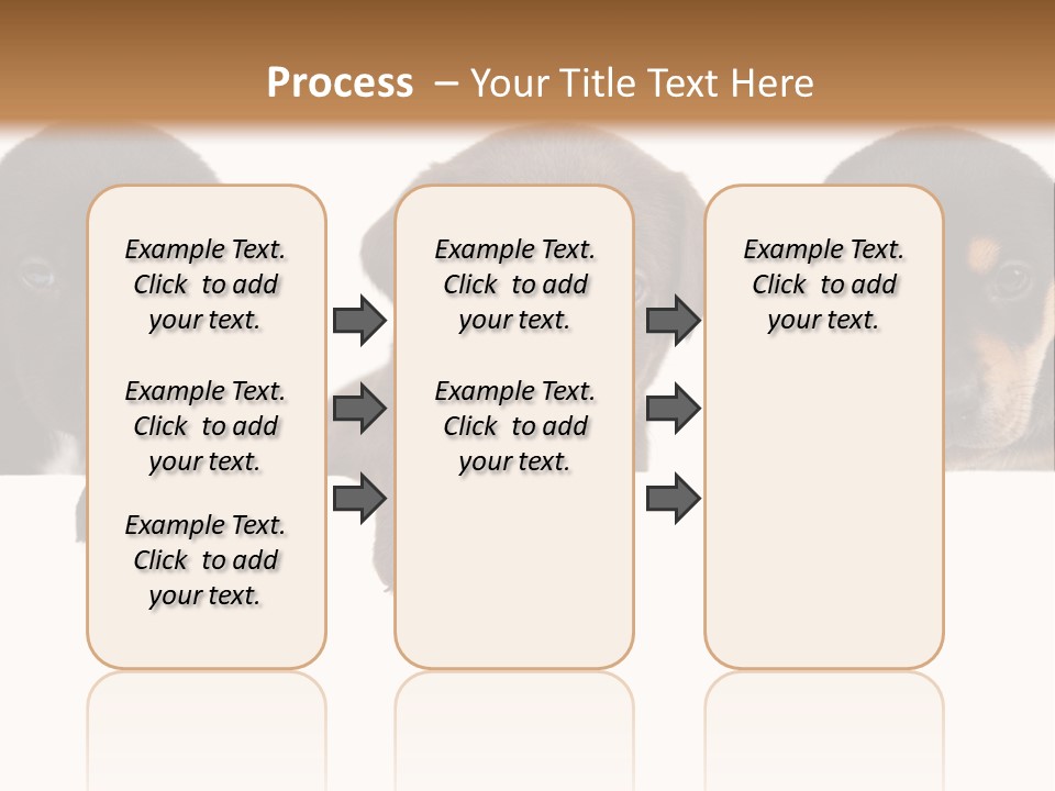 Horizontal Lighting Together PowerPoint Template