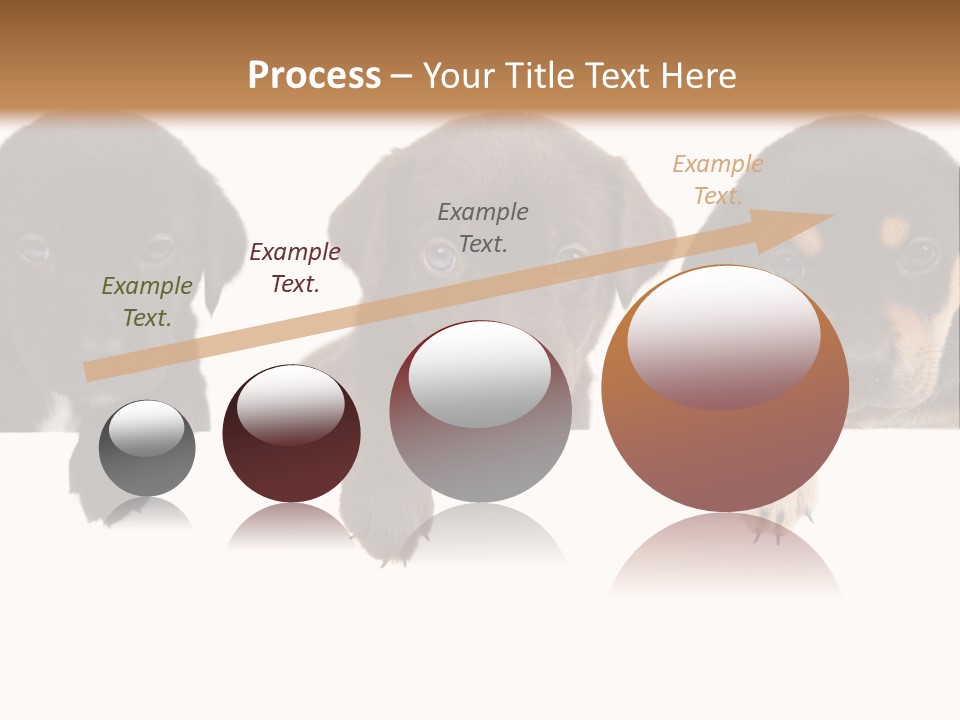 Horizontal Lighting Together PowerPoint Template