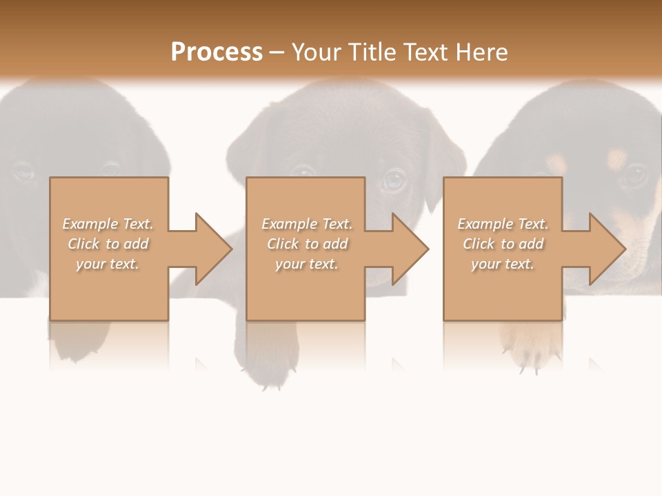 Horizontal Lighting Together PowerPoint Template