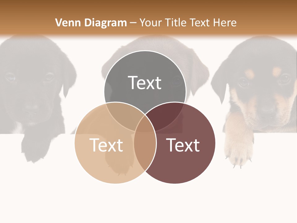 Horizontal Lighting Together PowerPoint Template