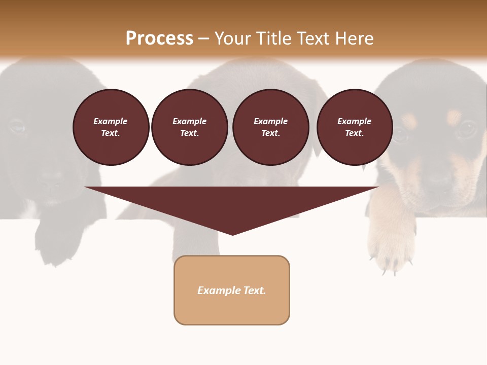 Horizontal Lighting Together PowerPoint Template