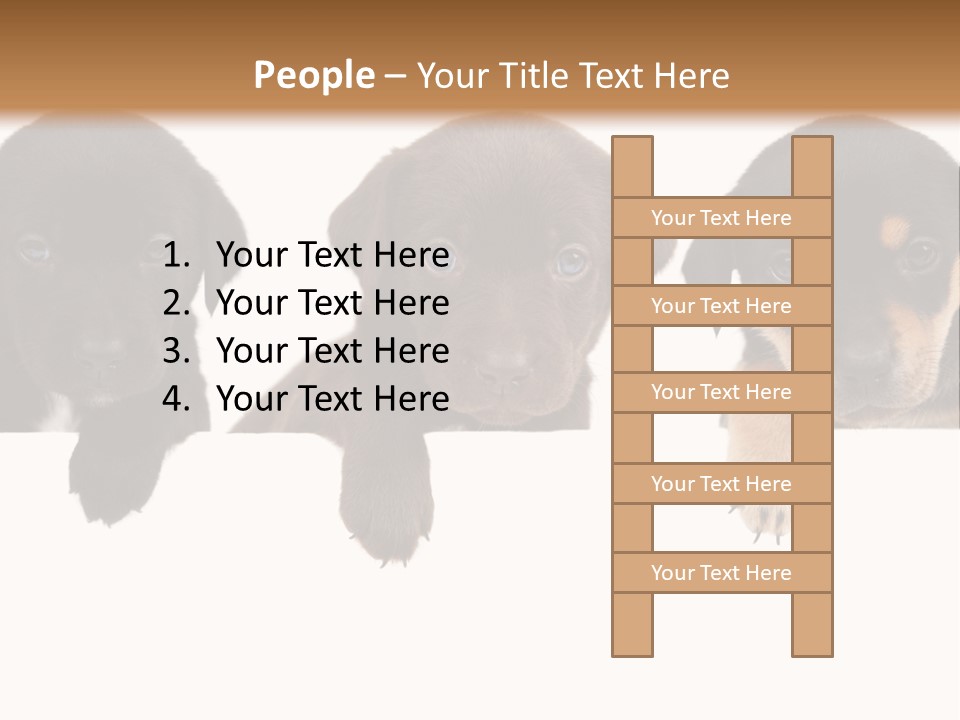 Horizontal Lighting Together PowerPoint Template