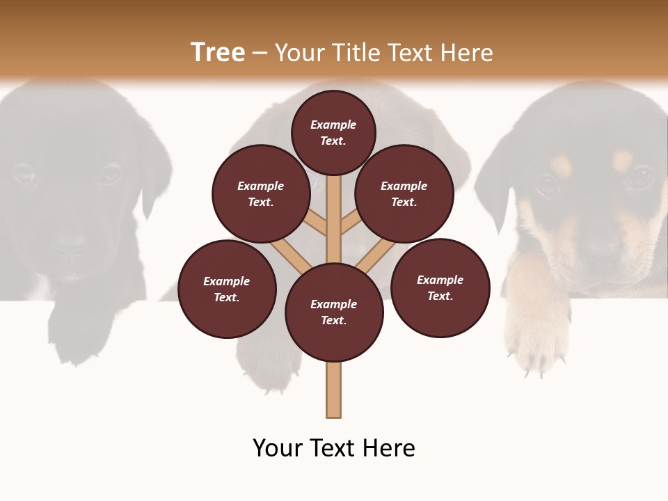 Horizontal Lighting Together PowerPoint Template