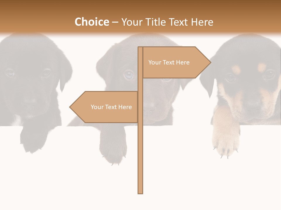 Horizontal Lighting Together PowerPoint Template