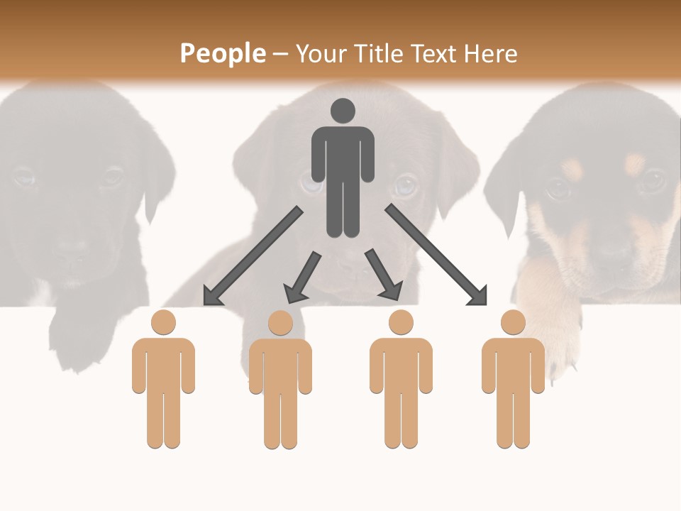 Horizontal Lighting Together PowerPoint Template