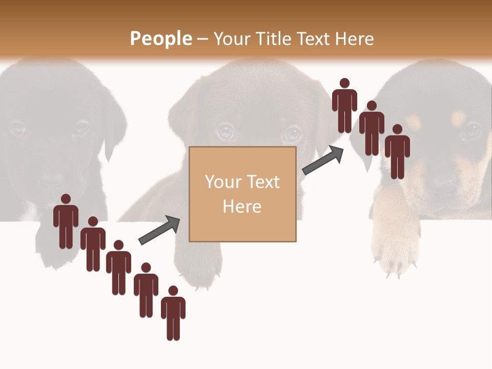 Horizontal Lighting Together PowerPoint Template