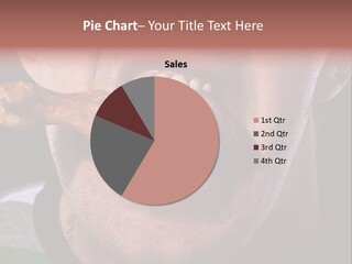 Eat Mouth Chicken PowerPoint Template