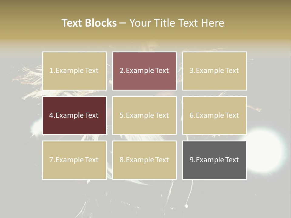 Fun Teenager Femininity PowerPoint Template