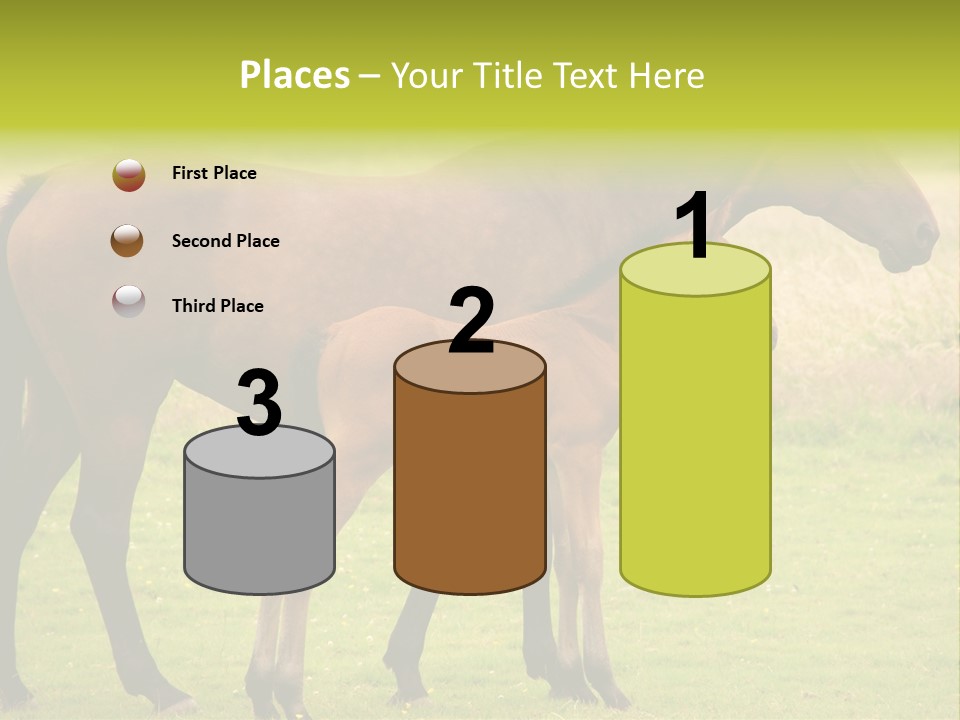 Meadow Animal Young PowerPoint Template