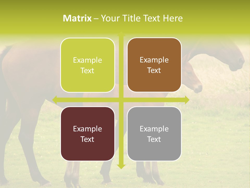 Meadow Animal Young PowerPoint Template