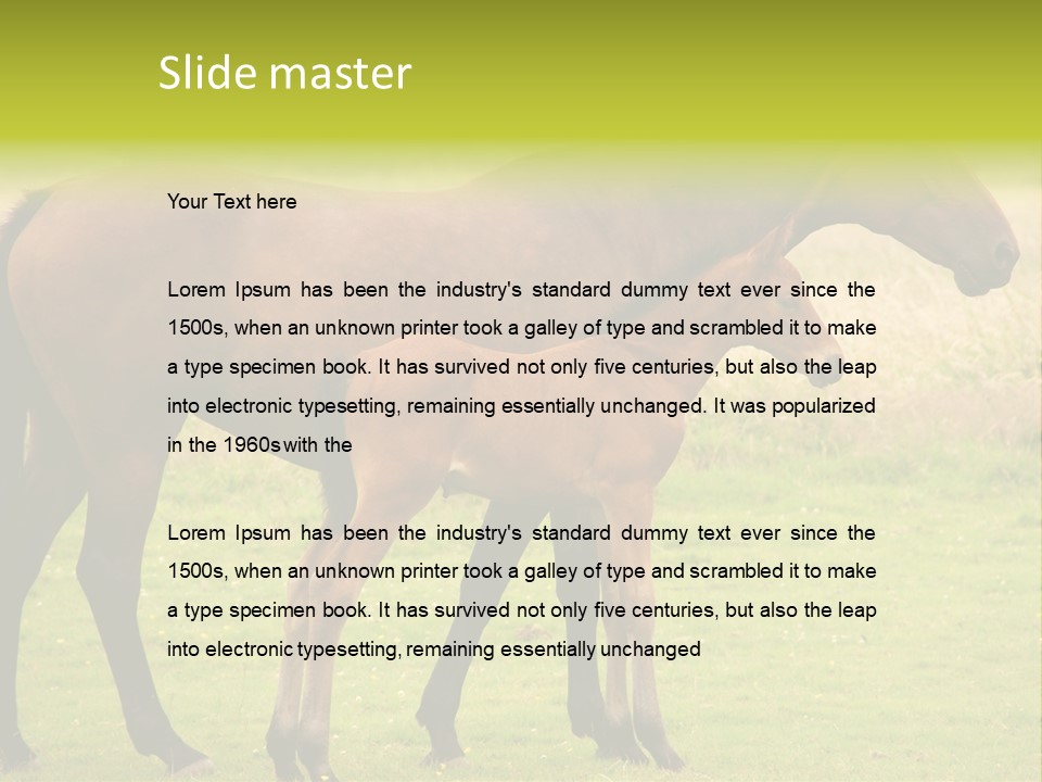 Meadow Animal Young PowerPoint Template