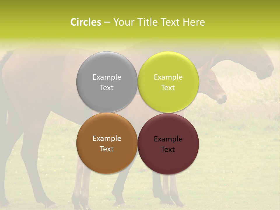 Meadow Animal Young PowerPoint Template
