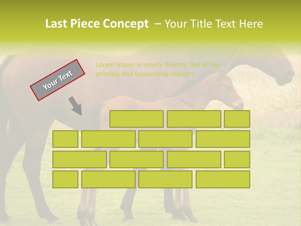 Meadow Animal Young PowerPoint Template