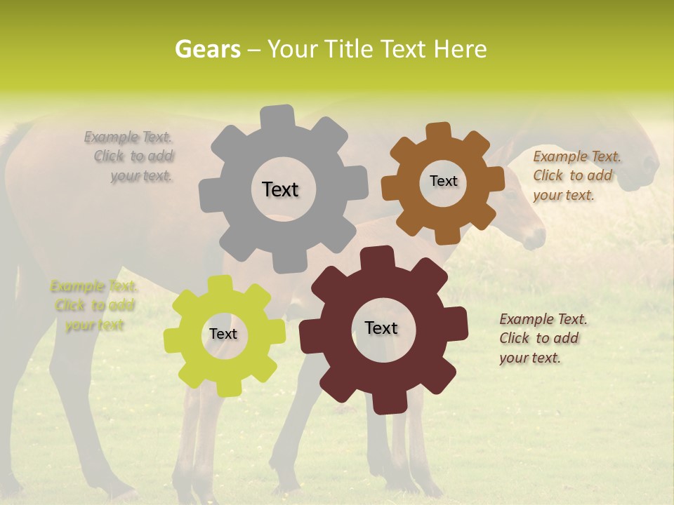 Meadow Animal Young PowerPoint Template