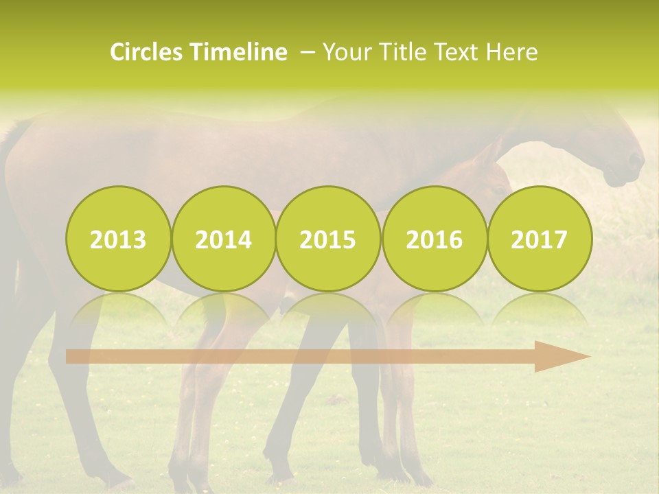 Meadow Animal Young PowerPoint Template